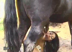 Девушка эротично трахается с конем